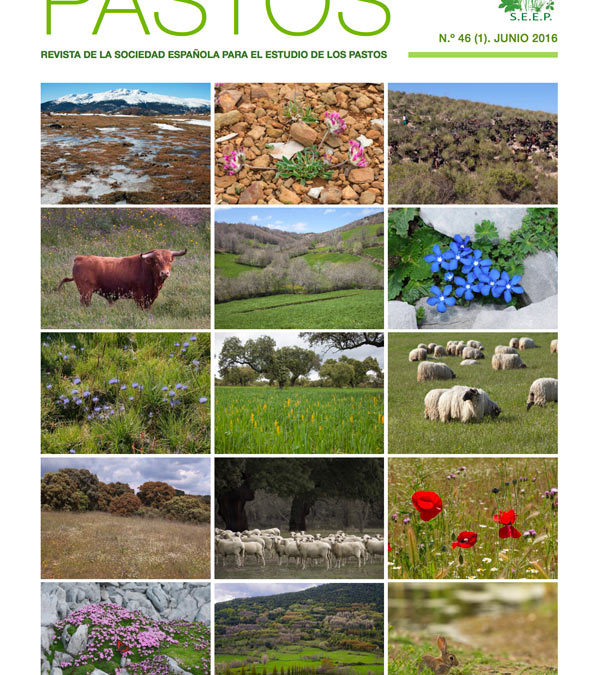Revista Pastos 3