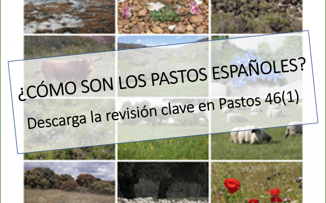 ¿Cómo son los pastos españoles?