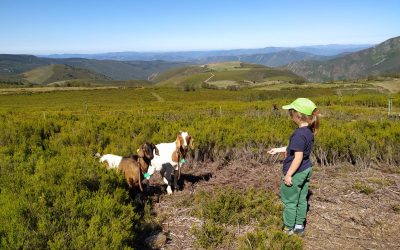Disponibles las actas y el cuaderno de campo de la 63ª Reunión Científica de la SEP (Lugo 2025)