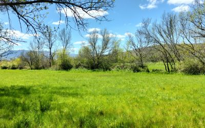 Reserva la fecha 20-23 de octubre: próxima 64ª Reunión Científica-Campera de la SEP y 4º Congreso de Vías Pecuarias y Trashumancia