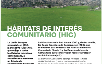 «La riqueza de los pastos de la Sierra de Guadarrama», exposición en el CIEA Casa de Campo, Madrid